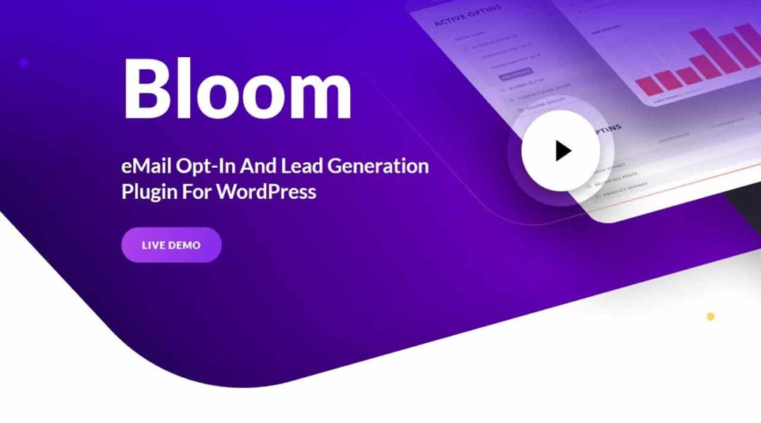 Connecteur Bloom et Newsletter