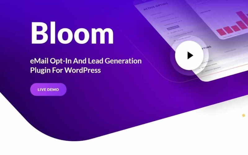 Connecteur Bloom et Newsletter